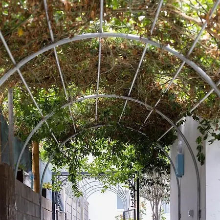 Tranquila Casa Con Jardin Y Wifi * San Miguel de Abona